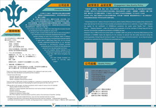 企業(yè)畫冊設(shè)計 版式與封面的視覺策略