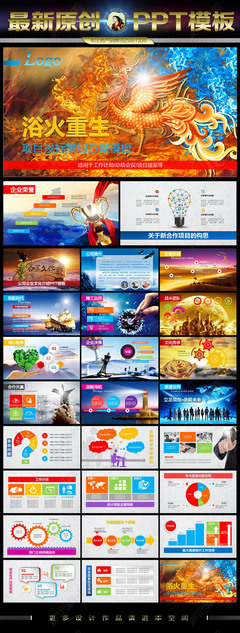 浴火重生 企業(yè)轉(zhuǎn)型與競爭力重塑投標(biāo)方案